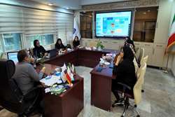 نشست تخصصی دانشگاه علوم پزشکی تهران برای ارتقاء فرآیندهای ثبت الکترونیکی بیماران سکته مغزی
