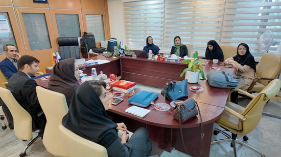 برگزاری دومین نشست تخصصی برای یکپارچه‌سازی فرم خلاصه پرونده بیماران سکته مغزی 