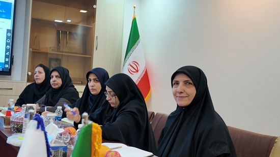 برگزاری جلسه بازنگری اسناد کسب‌وکار فرم‌های الکترونیک پرستاری با حضور مدیران ارشد وزارت بهداشت و دانشگاه علوم پزشکی تهران 